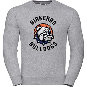Birkerød Bulldogs Sweat Grå