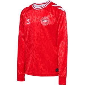 HUMMEL DBU Fodbold Landsholdstrøje L/S 2024