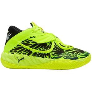 PUMA MB. 05 - Voltage