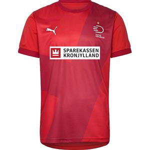 PUMA DHF 2024-25 Unisex - Sparekassen